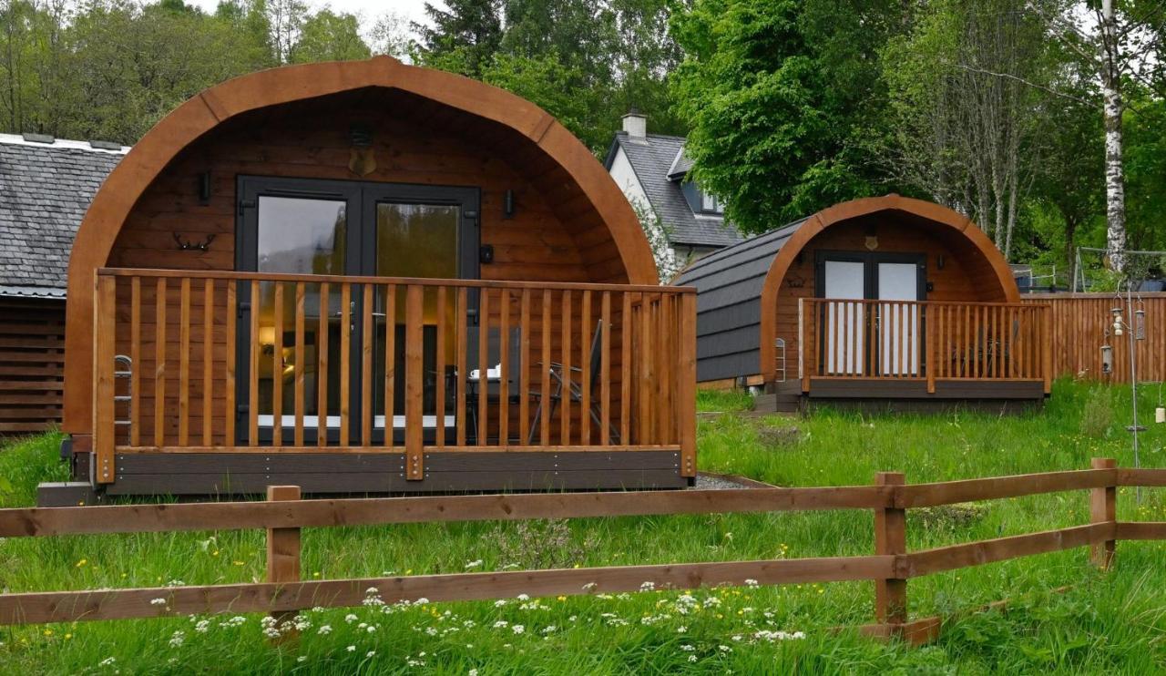 Squirrel Holiday home *